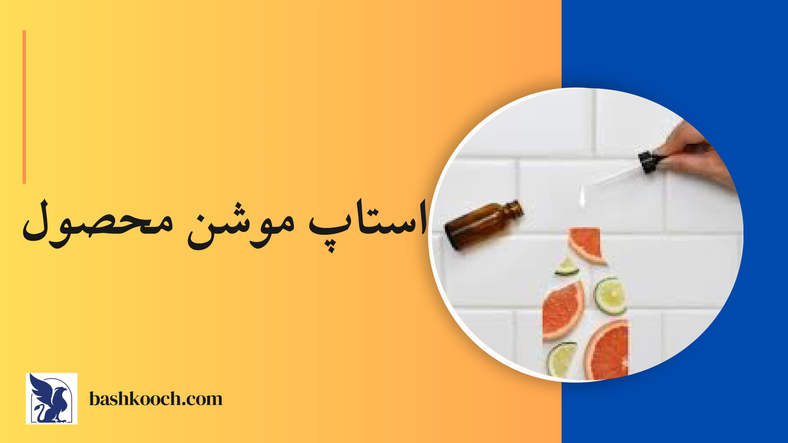 استاپ موشن محصول